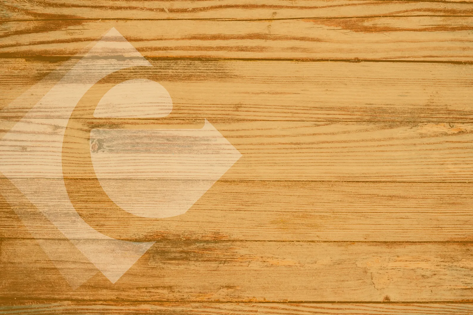 Oranje Exalio beeldmerk op een houten wand